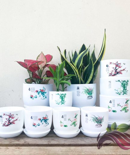 Plastic White Pot Chinese New Year Design 100mm & 140mm Diameter Indoor Plant Pot 中式古风新年树脂盆 塑料白盆
