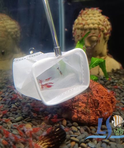 Premium Quality Fish Net (can extend)