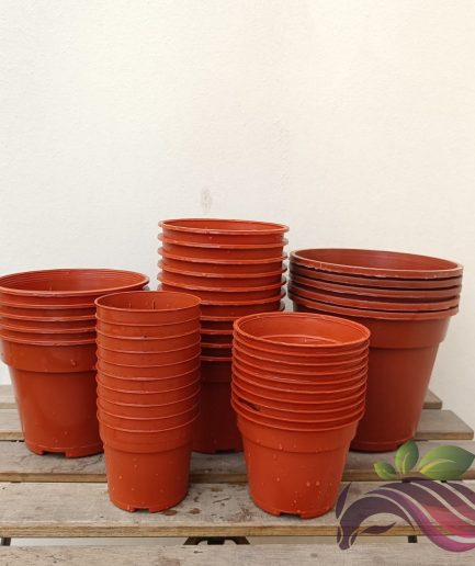Plastic Pot Pasu Plastik