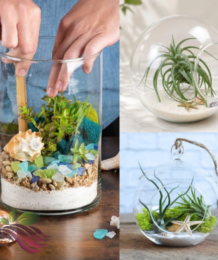 Pure White Sand For Terrarium Decoration 白色装饰沙 / 植物微景观使用 White Sand